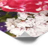 Rote Rose Rose Weißblütengarten Poster (Ecke)