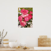 Rote Rose Rose Weißblütengarten Poster (Küche)