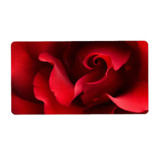 Rote Rose - Rosen fertigten Schablone besonders an