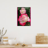 Rote Rose Rosen Floral Blumen Garten Poster (Küche)