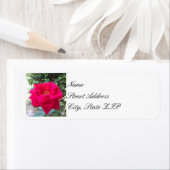 Rote Rose-Rücksendeadresse (Insitu)