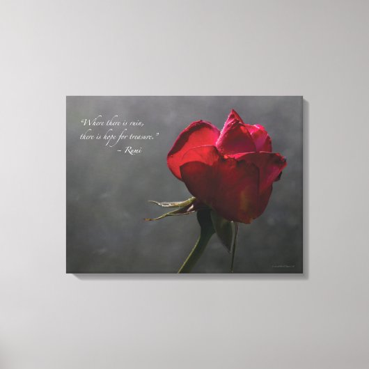 Rote Rose, Rumi zitiert, 24" x 18" - MEDIUM Leinwanddruck (Vorderseite)