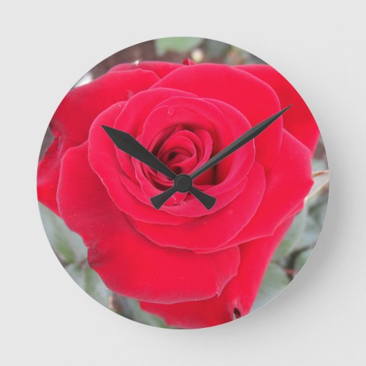 Rote Rose Runde Wanduhr (Vorderseite)