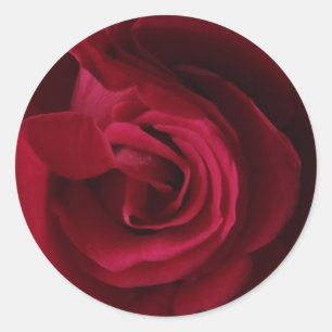 Rote Rose Runder Aufkleber