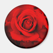 Rote Rose: Rundmagnet Magnet (Vorne)