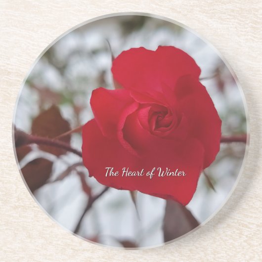 Rote Rose Sandstein Untersetzer (Vorne)