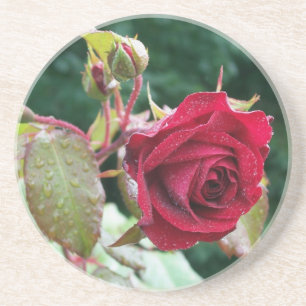 Rote Rose Sandstone Untersetzer