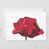 Rote Rose Save The Date (Rückseite)