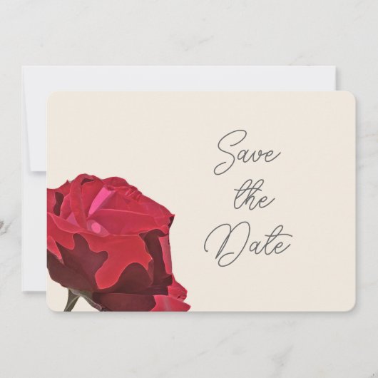 Rote Rose Save the Date Karte (Vorderseite)
