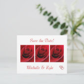 Rote Rose Save the Date Postkarte (Stehend Vorderseite)