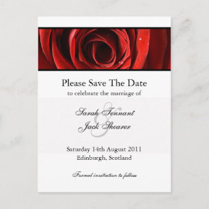 Rote Rose Save the Date Postkarte