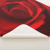 Rote Rose sbcna Sherpadecke (3/4)