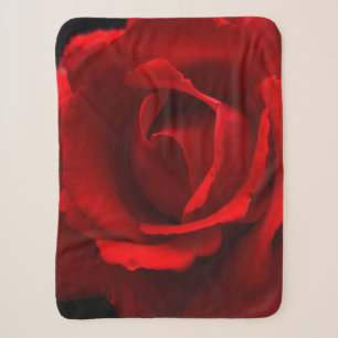 Rote Rose sbcnm Sherpadecke