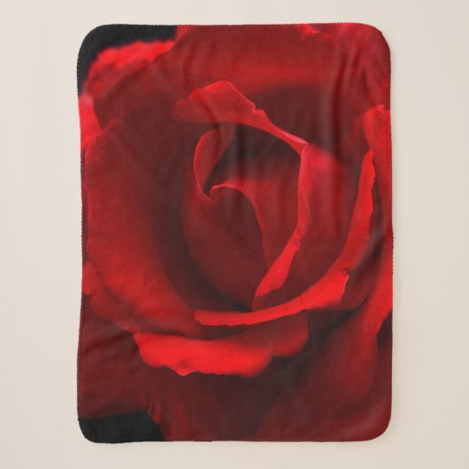 Rote Rose sbcnm Sherpadecke (Vorderseite)