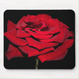 Rote Rose - Schwarz Mousepad