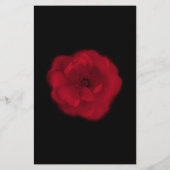 Rote Rose. Schwarzer Hintergrund. Flyer (Hinten)