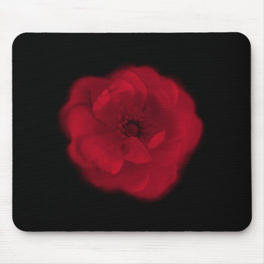 Rote Rose. Schwarzer Hintergrund Mousepad (Vorne)