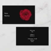 Rote Rose. Schwarzer Hintergrund Visitenkarte (Vorne/Hinten)