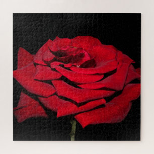 Rote Rose - Schwarzes Puzzle