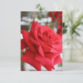Rote Rose Scottish Birthday Card Gedicht (Stehend Vorderseite)