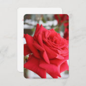 Rote Rose Scottish Gedicht Birthday Card (Vorne/Hinten)