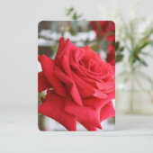 Rote Rose Scottish Gedicht Birthday Card (Stehend Vorderseite)