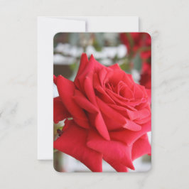 Rote Rose Scottish Gedicht Birthday Card