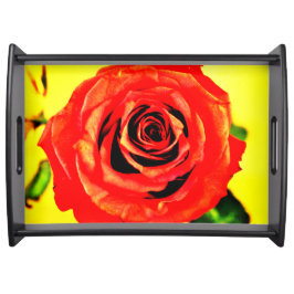 Rote Rose Serviertablett