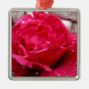 Rote Rose Silbernes Ornament