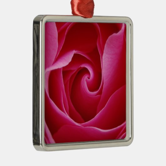 Rote Rose Silbernes Ornament (Rechts)