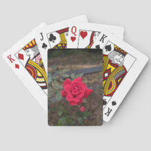Rote Rose Spielkarten