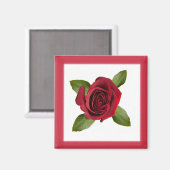 Rote Rose Square Magnet (Vorderseite/Rückseite)