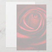 Rote Rose stationär Briefpapier (Vorne/Hinten)