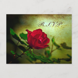 rote Rose Steampunk Einladungspostkarte