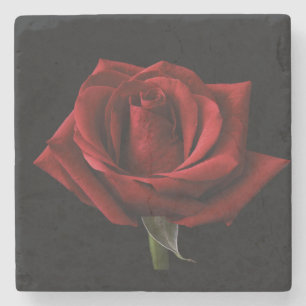 Rote Rose Steinuntersetzer
