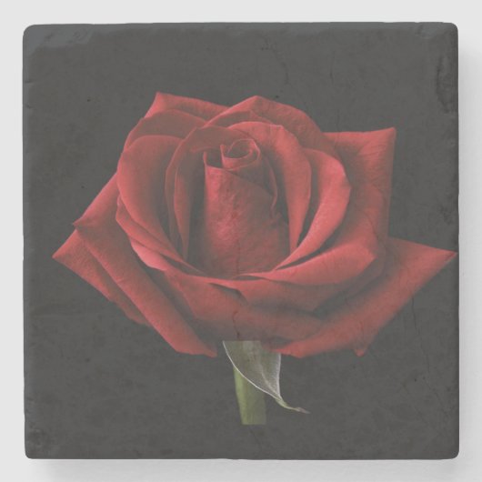 Rote Rose Steinuntersetzer (Vorderseite)
