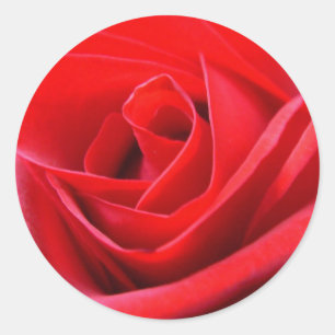 Rote Rose Stickers Pink Rote Rose Geschenke Keepak