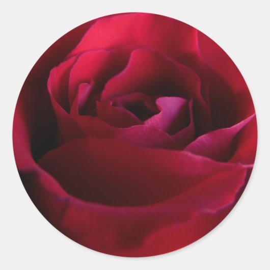 Rote Rose Stickers Pink Rote Rose Geschenke Keepak (Vorderseite)