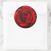 Rote Rose stkcnm Runder Aufkleber (Tasche)