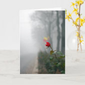 Rote Rose Sympathy Card Karte (Gelbe Blume)