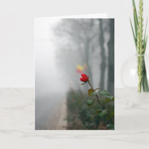 rote Rose Sympathy Card Karte