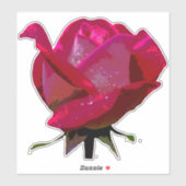 Rote Rose Thunder_Cove Aufkleber (Blatt)