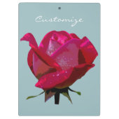 rote Rose Thunder_Cove Klemmbrett (Rückseite)