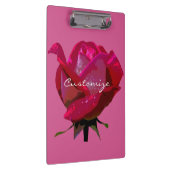 rote Rose Thunder_Cove Klemmbrett (Rechts)