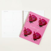 rote Rose Thunder_Cove Planer (Anzeige)