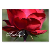 Rote Rose Tischnummer (Vorderseite)