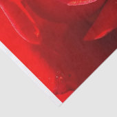 Rote Rose Tissue Paper Seidenpapier (Ausschnitt)