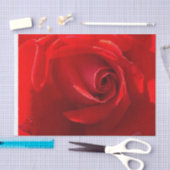 Rote Rose Tissue Paper Seidenpapier (Handwerk)