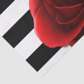 Rote Rose u. Schwarz-weiße Streifen Seidenpapier (Ausschnitt)