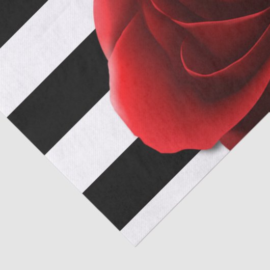 Rote Rose u. Schwarz-weiße Streifen Seidenpapier (Ausschnitt)